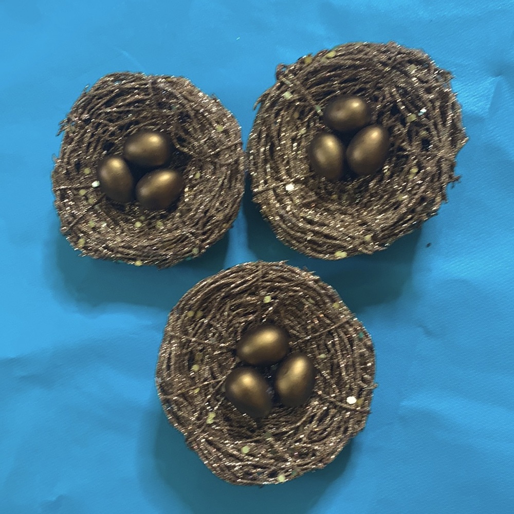 NWT Giant bird nest with three eggs
